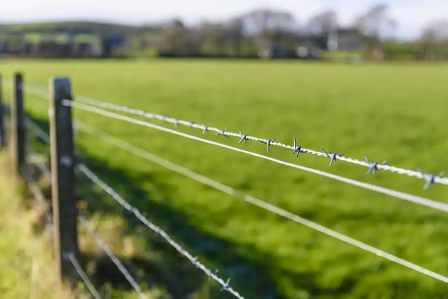 Reliable Fencing Services in Pearl, MS