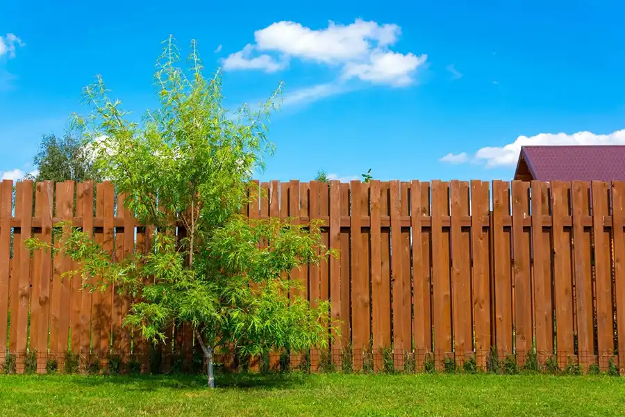 Wood Fence Ideas in Pearl, MS
